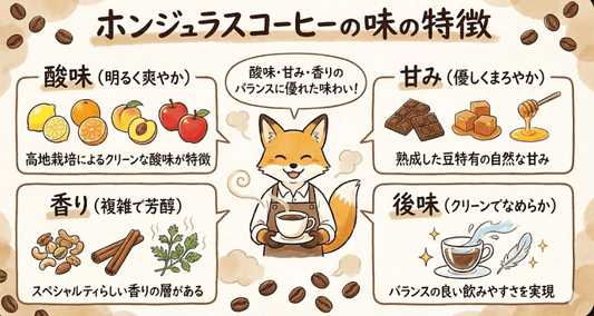 ホンジュラスコーヒーの味や香りの特徴、産地ごとの違いを解説