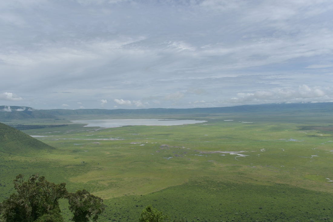 タンザニアのンゴロンゴロ地区
