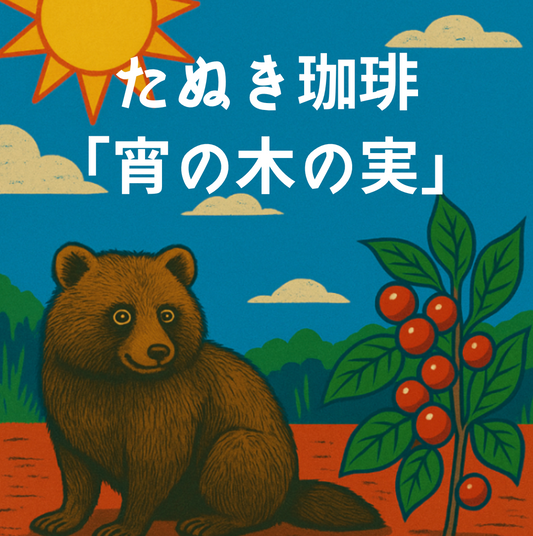 たぬき珈琲 「宵の木の実」：ブラジル サントス No.2